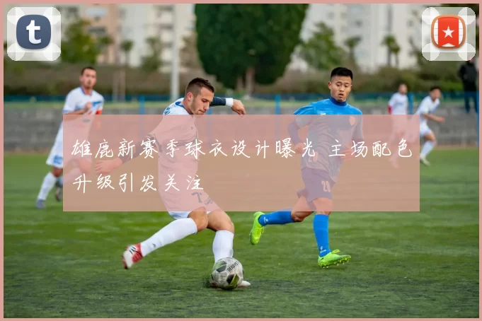 雄鹿新赛季球衣设计曝光 主场配色升级引发关注