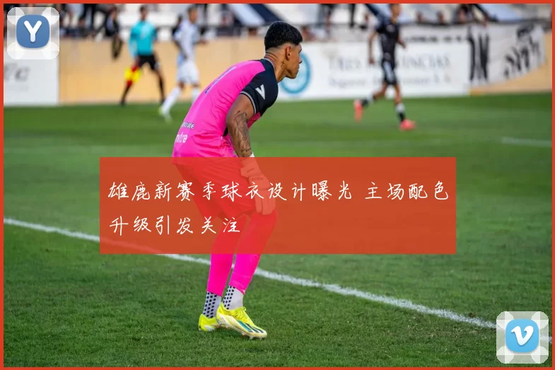 雄鹿新赛季球衣设计曝光 主场配色升级引发关注