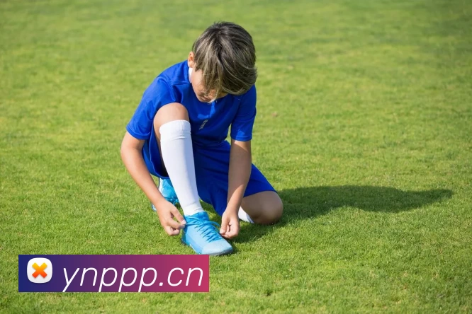 leyu乐鱼登录入口APP 封面图