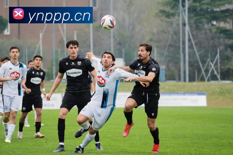 数据防护可视化